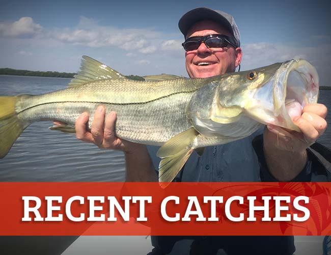Fish On Fire Charters Photo Galleries