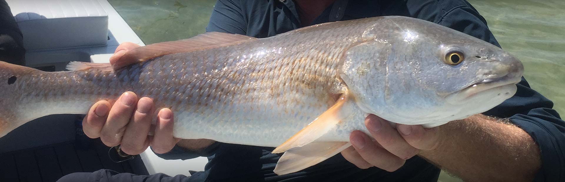Fish On Fire Charters - Photo Gallery