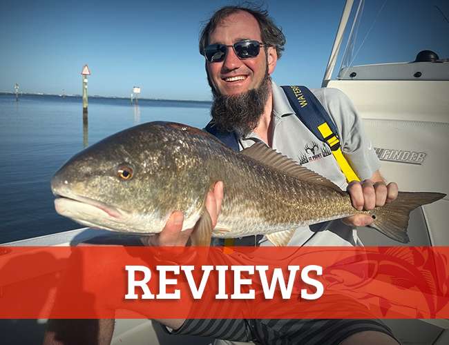 Reviews