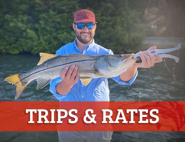 Trips & Rates