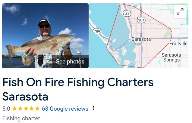 Reviews Reviews